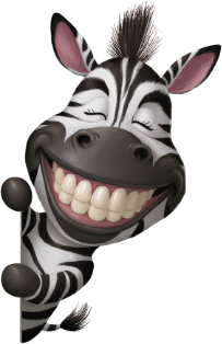 zebra image