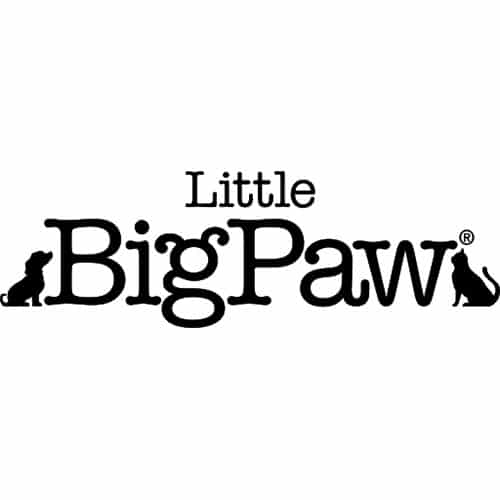 little big paw