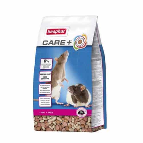 ביהפר קייר + כופתיות לחולדות