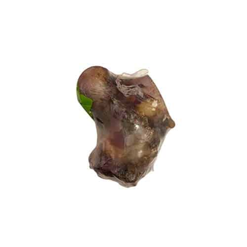 עצם בקר טבעית לכלב