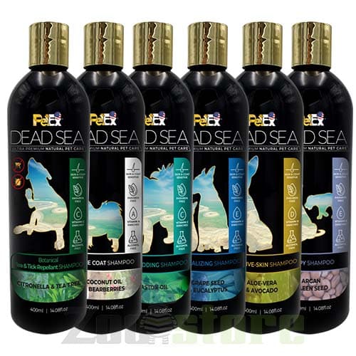 שמפו פטקס ים המלח