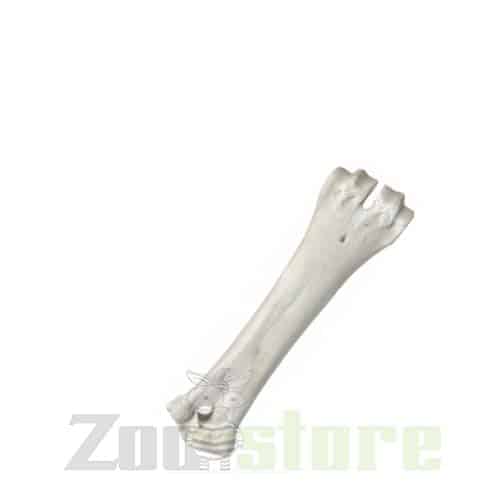 עצם סידן לכלב