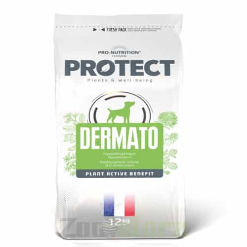 פלאטזור דרמטו לכלב