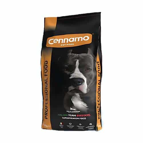 פרופשנל כלב בוגר