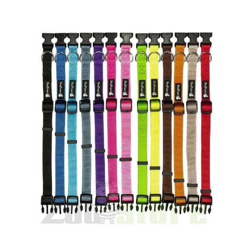 קולר בד לכלב עם אבזם פלסטיק