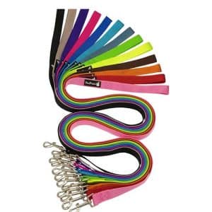 רצועת בייסיק פטס לנד