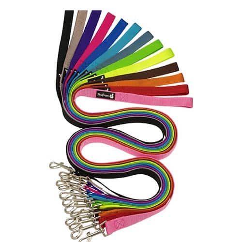 רצועה הולכה בייסיק לכלב