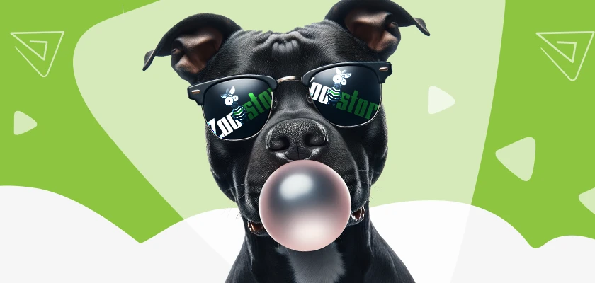 לכלבים כל הציוד כל סוגי המזון | זוסטור ZOOSTORE