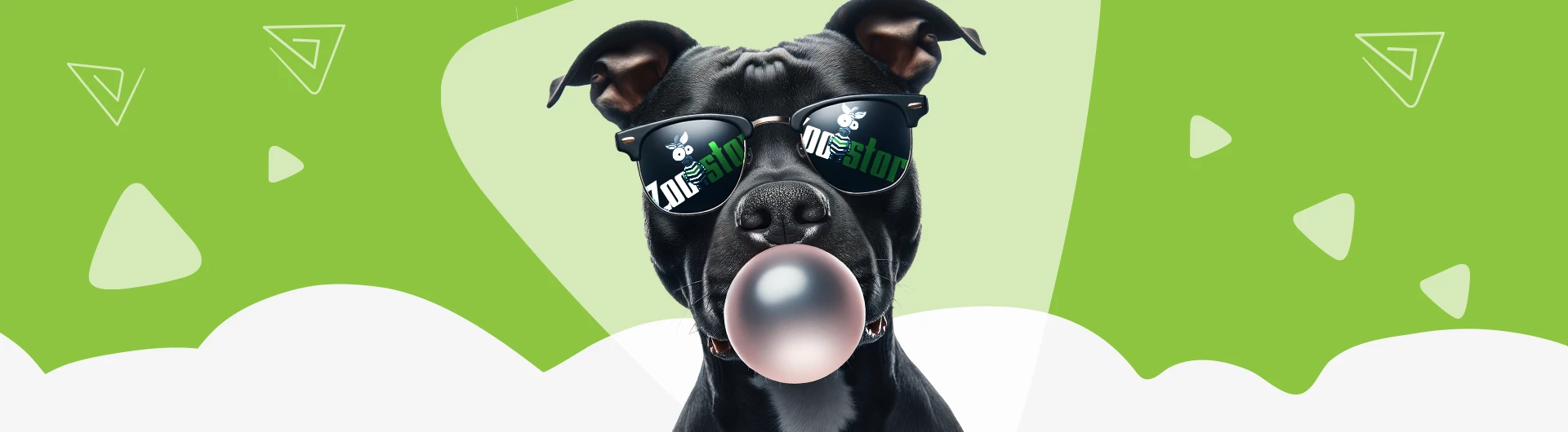 לכלבים כל הציוד כל סוגי המזון | זוסטור ZOOSTORE