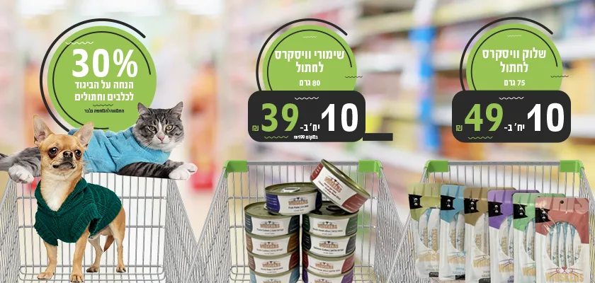 מבצעי נובמבר לחתולים וכלבים 2025 | מזון וציוד לבעלי חיים | זו סטור ZooStore מובייל