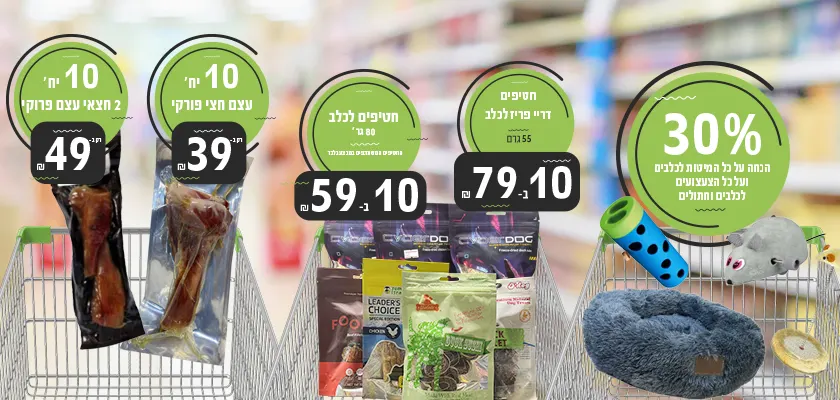 מבצעי דצמבר לכלבים 2025 | מזון וציוד לבעלי חיים | זו סטור ZooStore מובייל